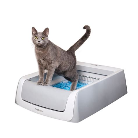 self cleaning litter boxes